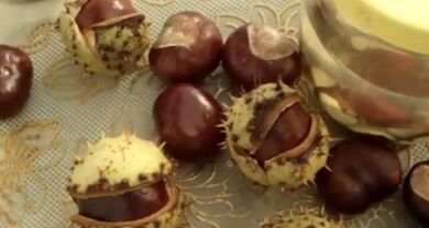 Use of horse chestnut to treat varicos